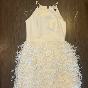 BHLDN Aidan Mattox Promenade Fringe Mini Dress Size 2